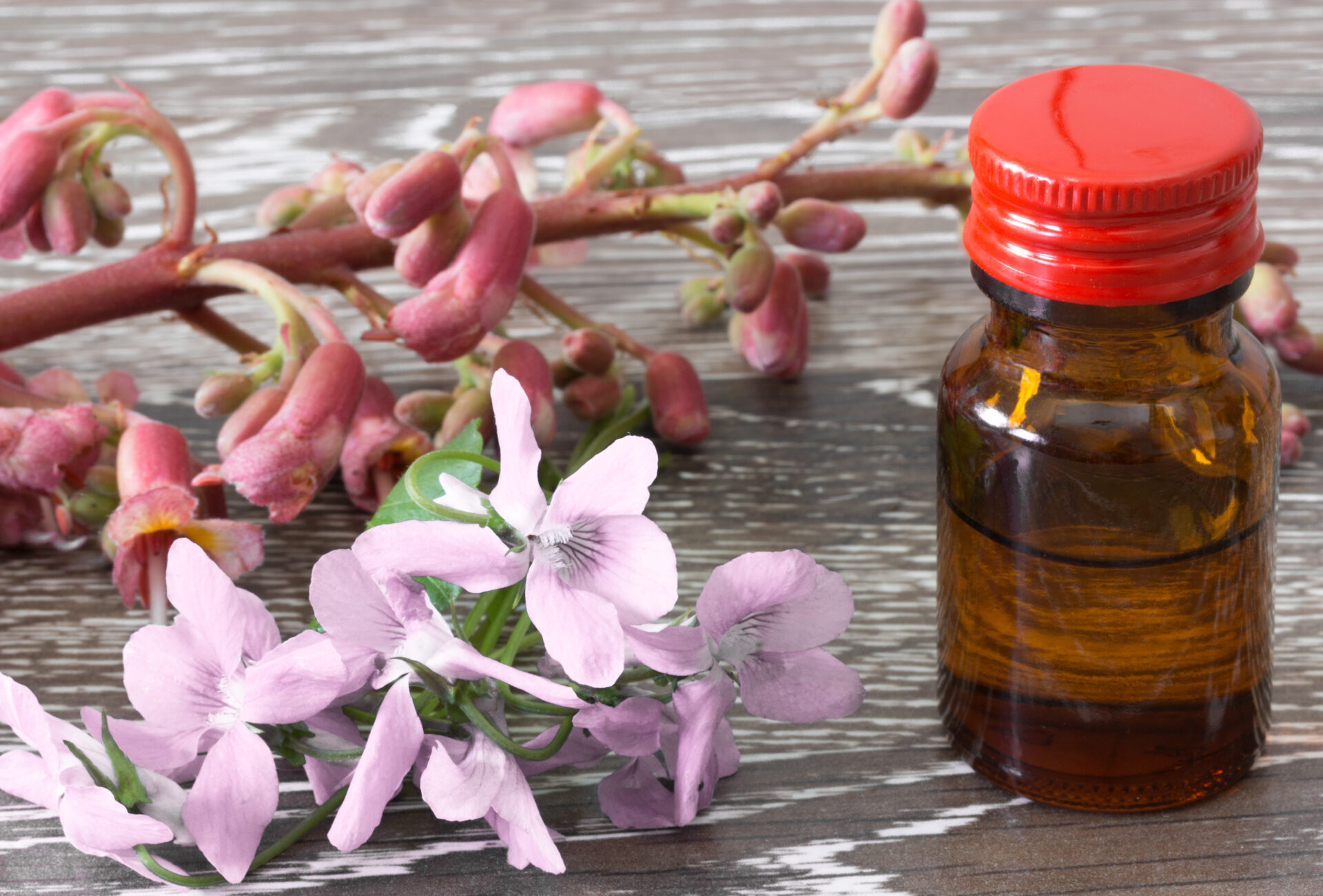 Violet flowers and essential oil bottle.